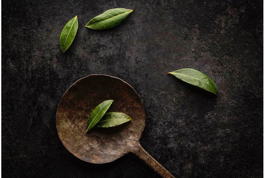 Still Life Photography - Deborah Brown. Top-down perspective of rusty old pan with five green leaves placed in shot on a rusted dark background. 