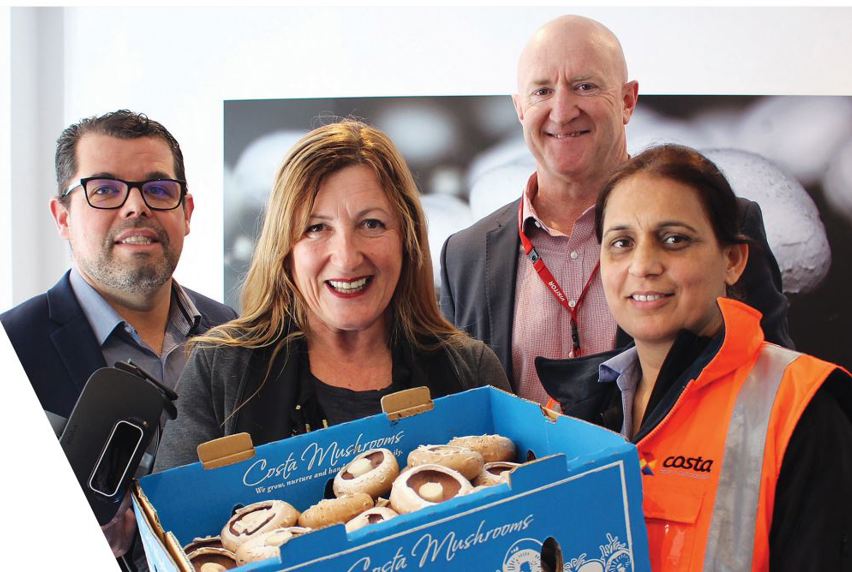 4 people posing for photo, with one person holding tray of mushrooms from Costa Mushrooms