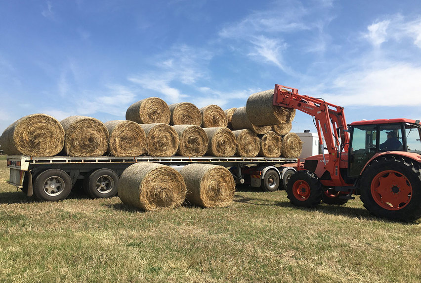 Image of tractor and hay bales 