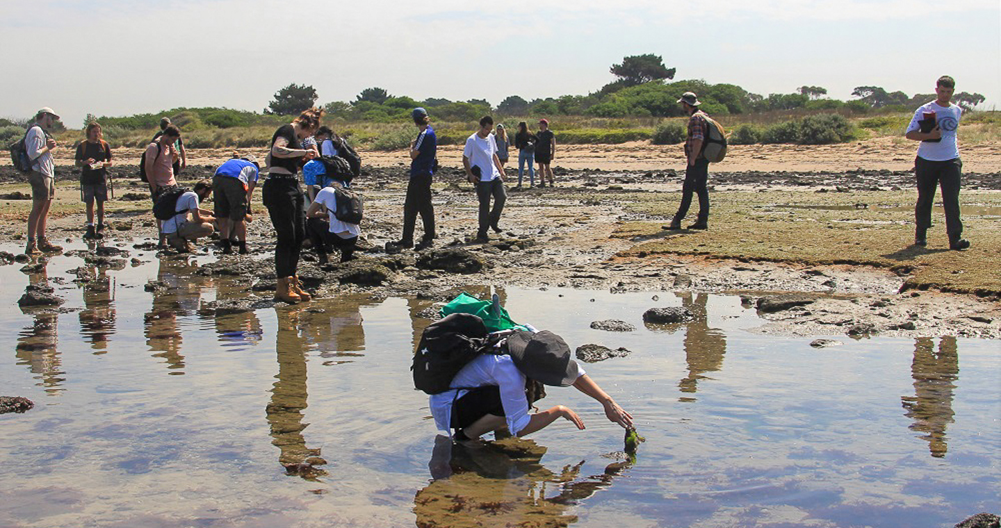 Conservation Students at Point Cook Marine Sanctuary