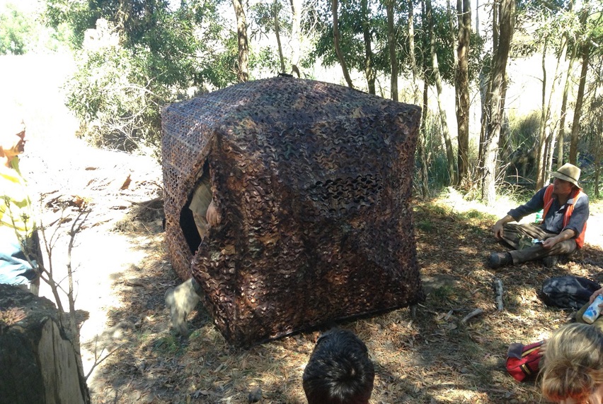 camouflaged deer monitoring tent