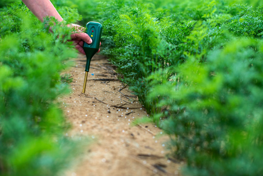 Person taking a soil sample