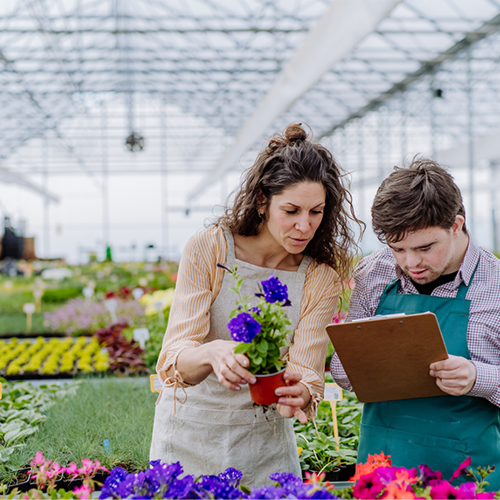 Work experience student in garden nursey