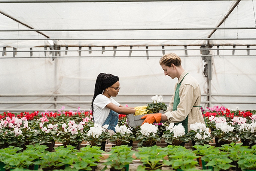 floristry horticulture image  